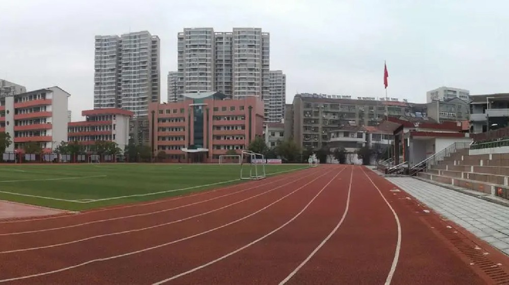 湖北武穴市高中小学采购多功能食品安全检测仪