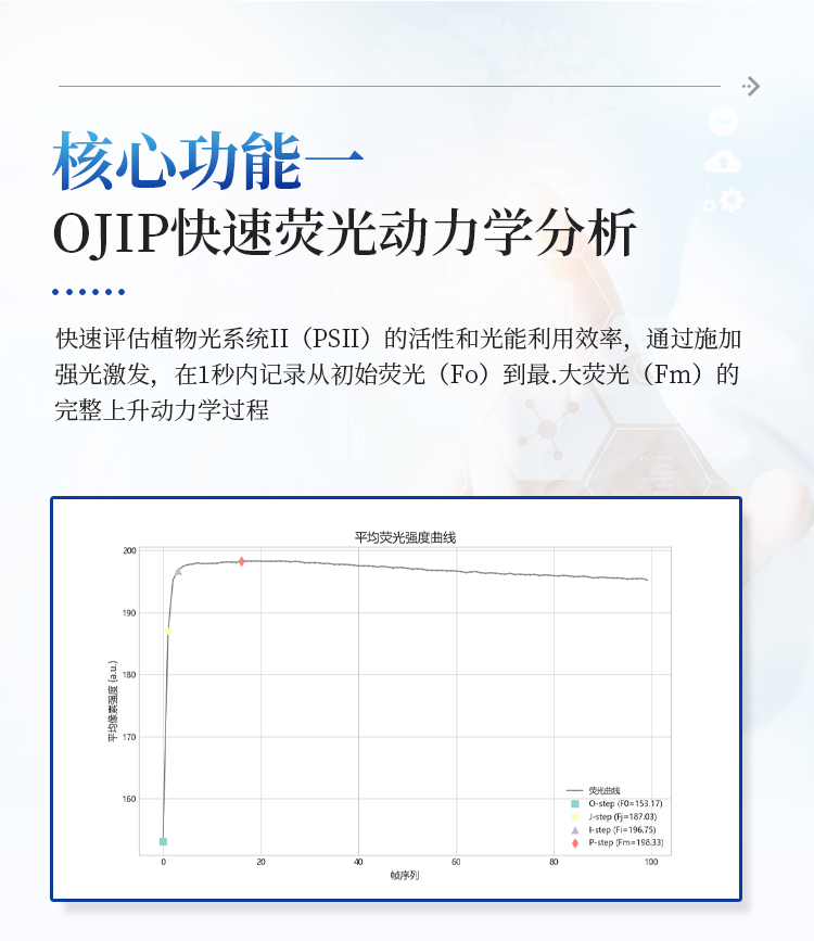 叶绿素荧光成像仪