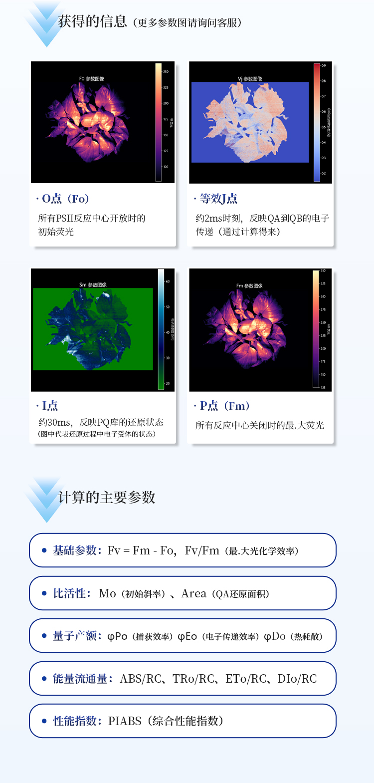 叶绿素荧光成像仪