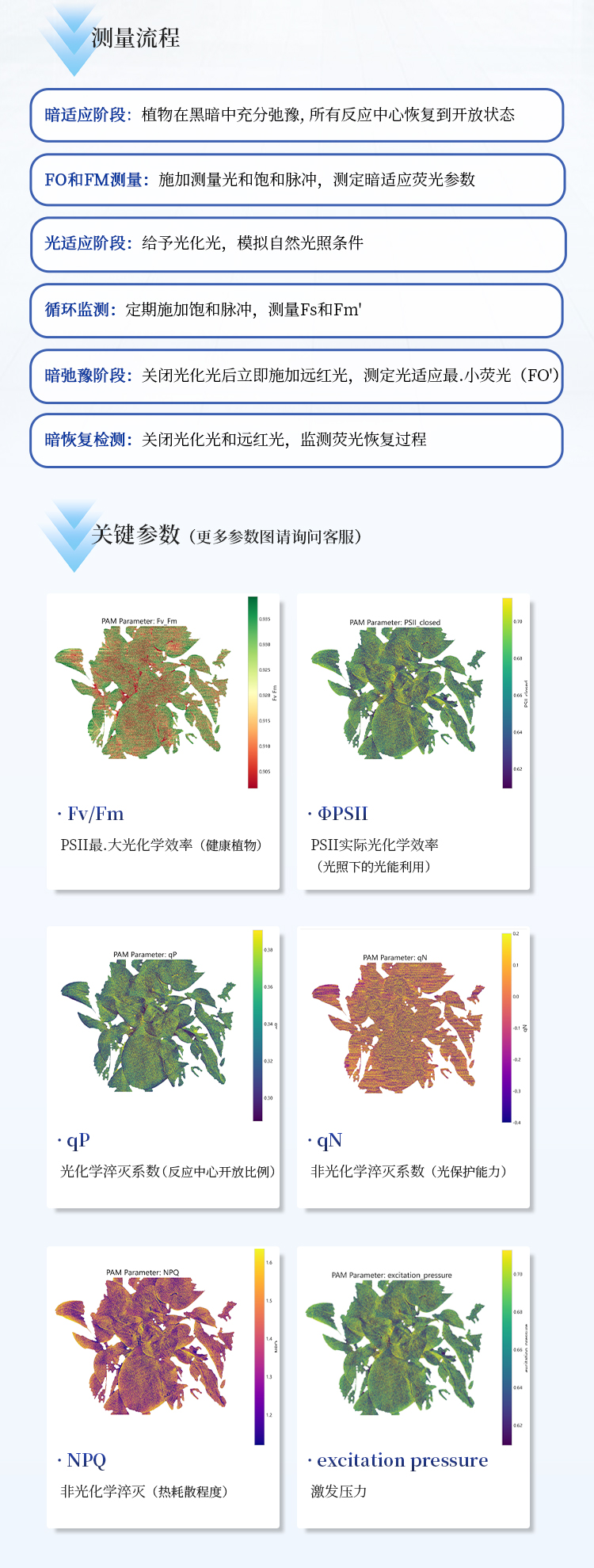 叶绿素荧光成像仪
