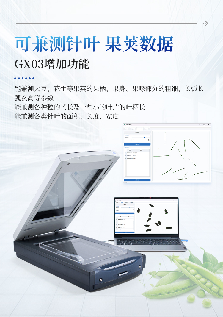 植物根系分析仪